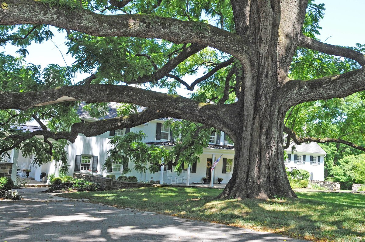 Rosedale, Maryland neighborhood